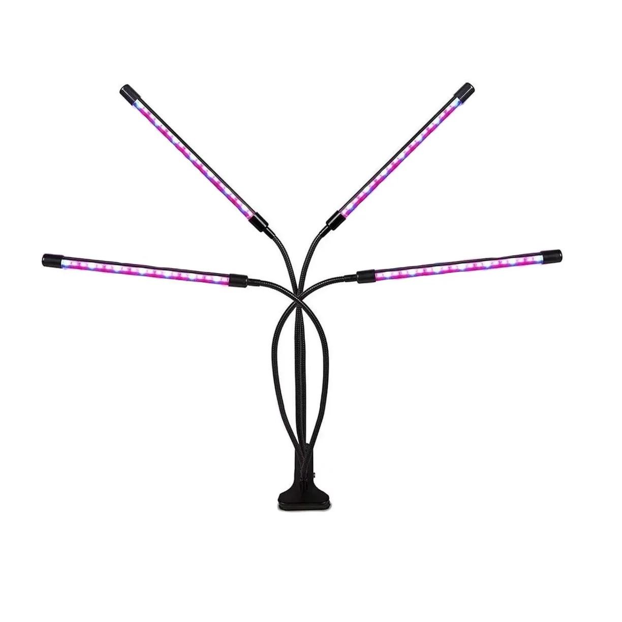 00117786-1