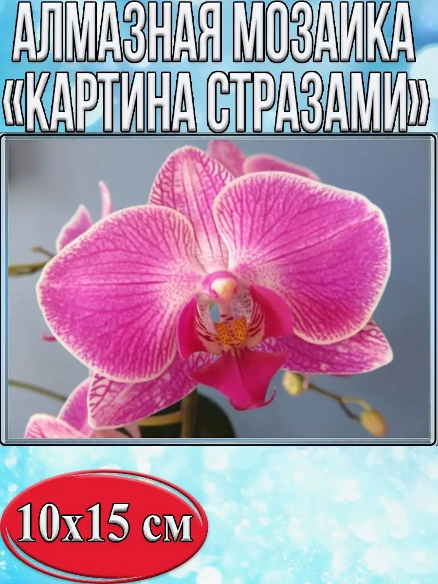 Алмазная мозаика картина стразами Орхидея, 15х20 см
