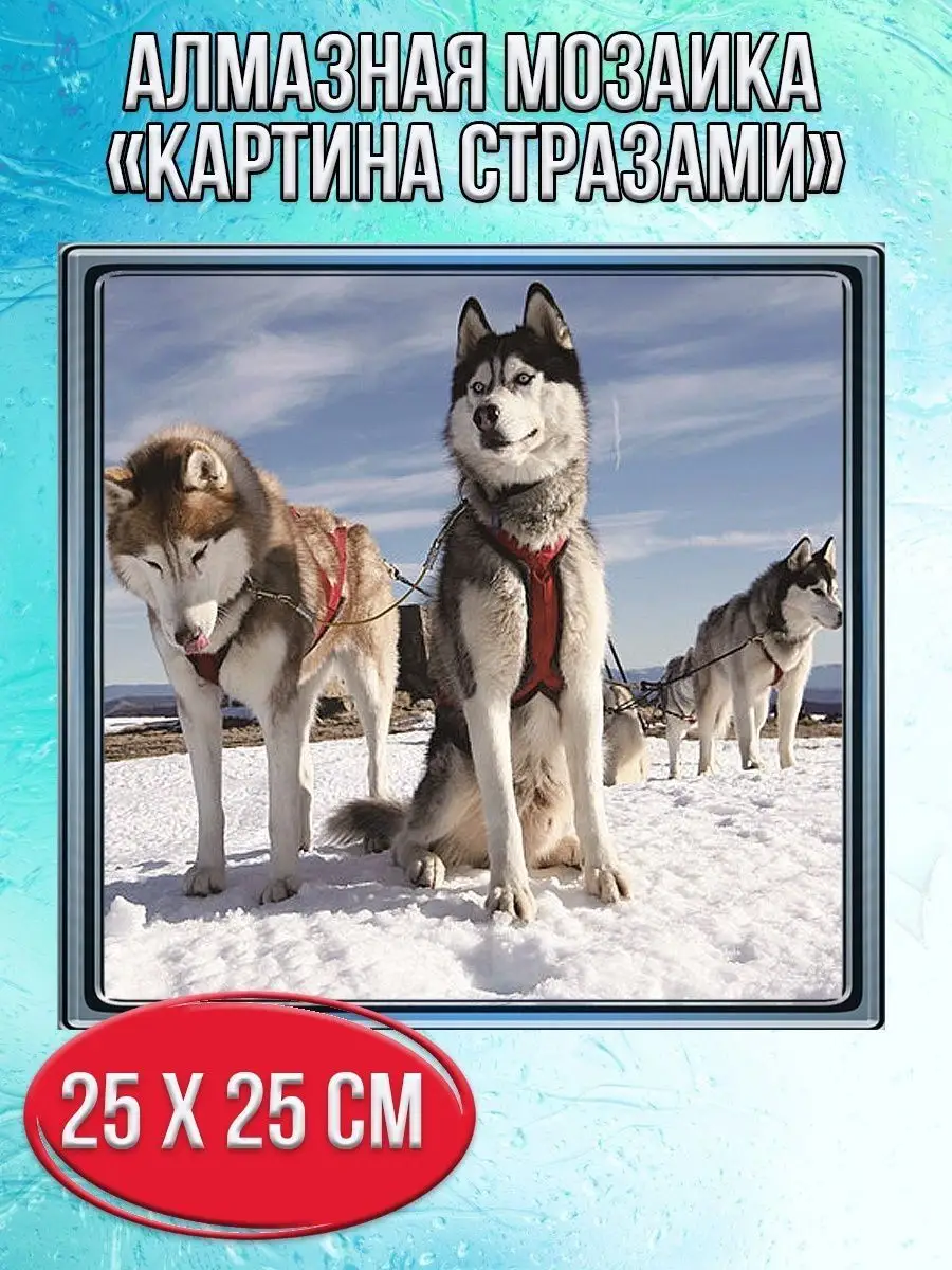 Алмазная мозаика картина стразами Собачья упряжка, 30х30 см