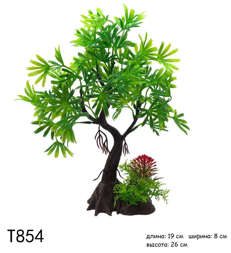 T854