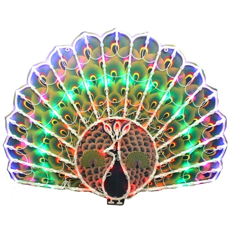 477-800x800