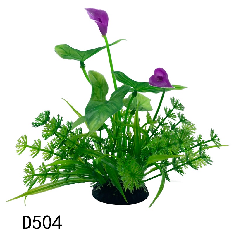 D504