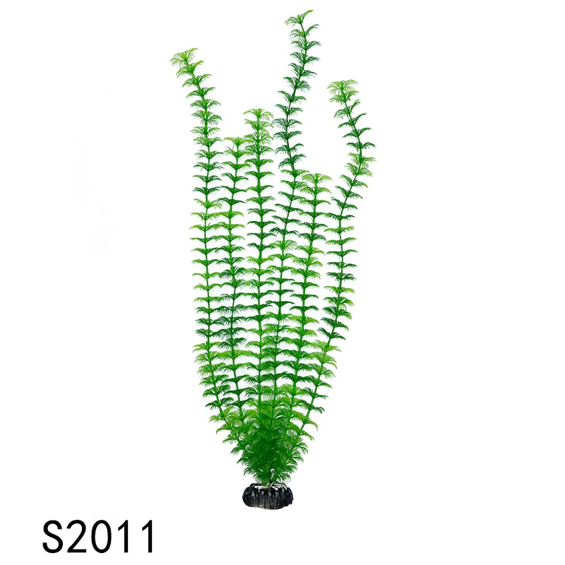 S2011
