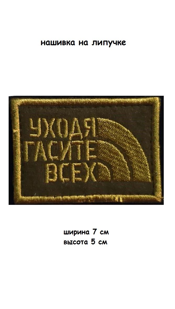 117555-