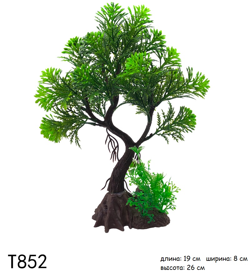T852