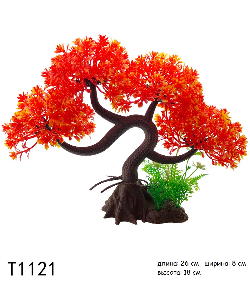 T1121