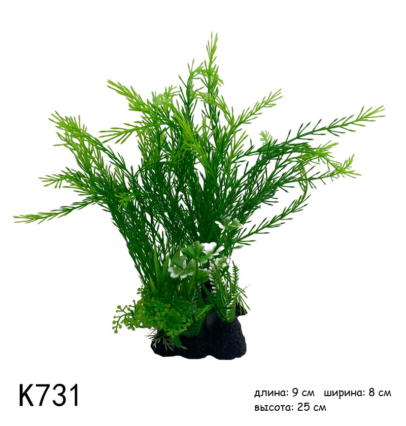 K731