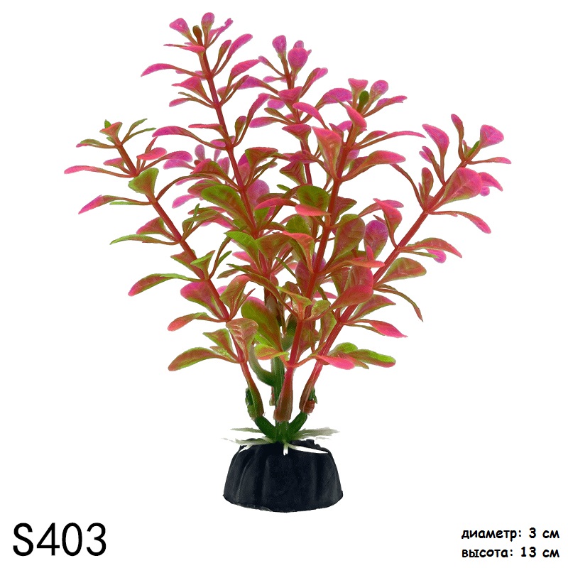 S403