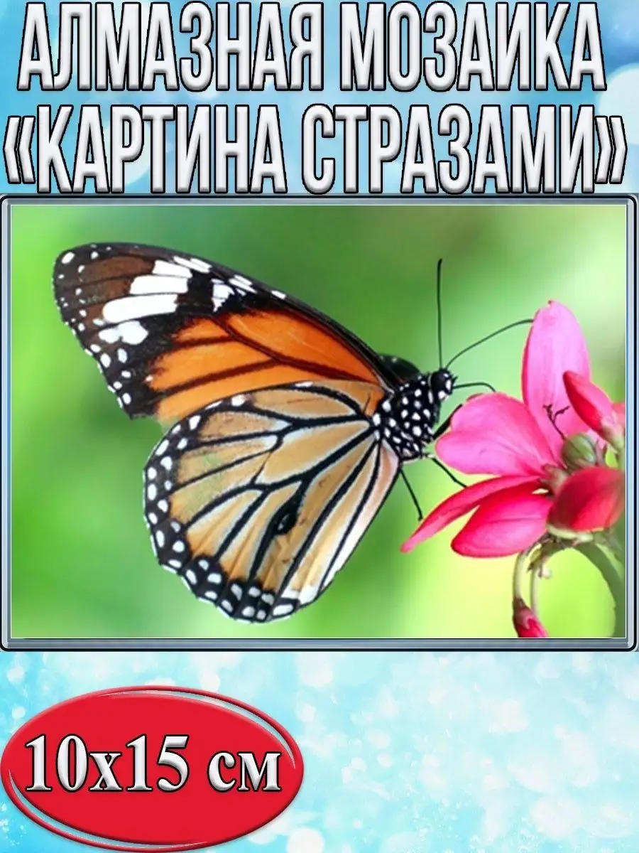 Алмазная мозаика картина стразами Бабочка на цветке, 15х20 см