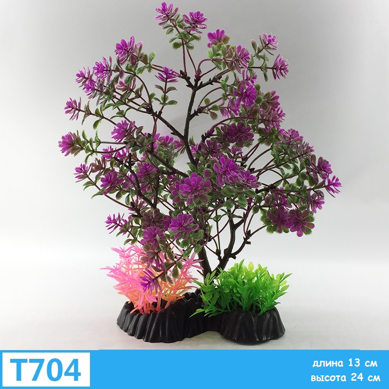 t704