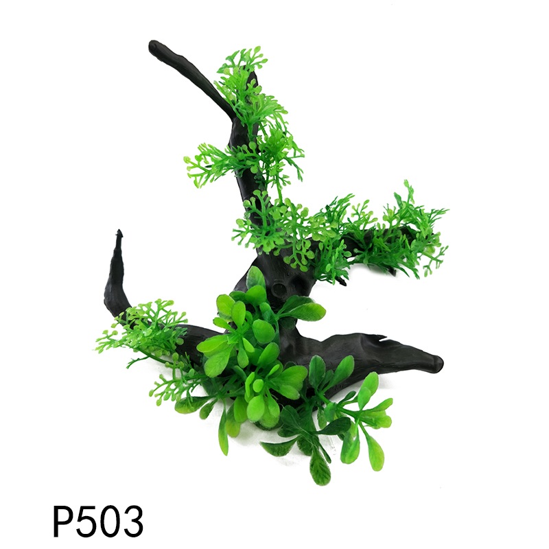 P503
