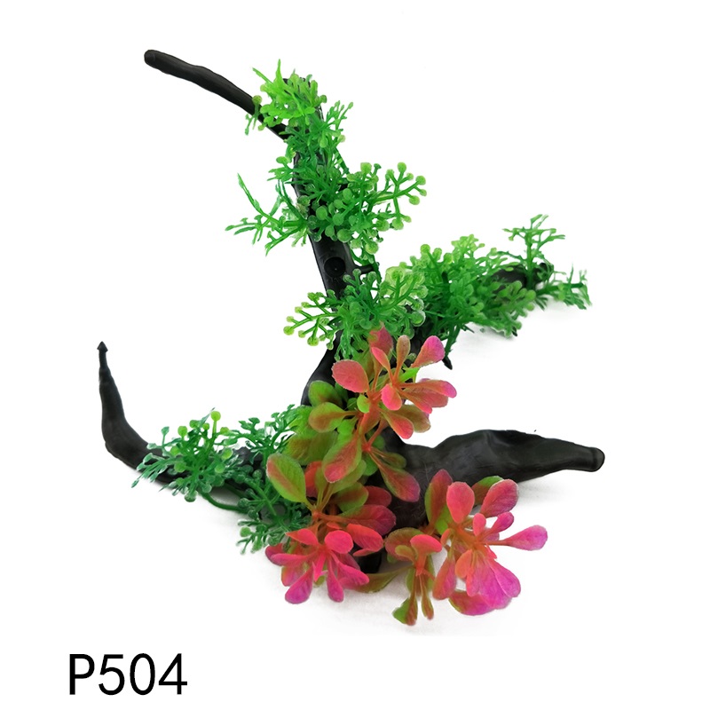 P504