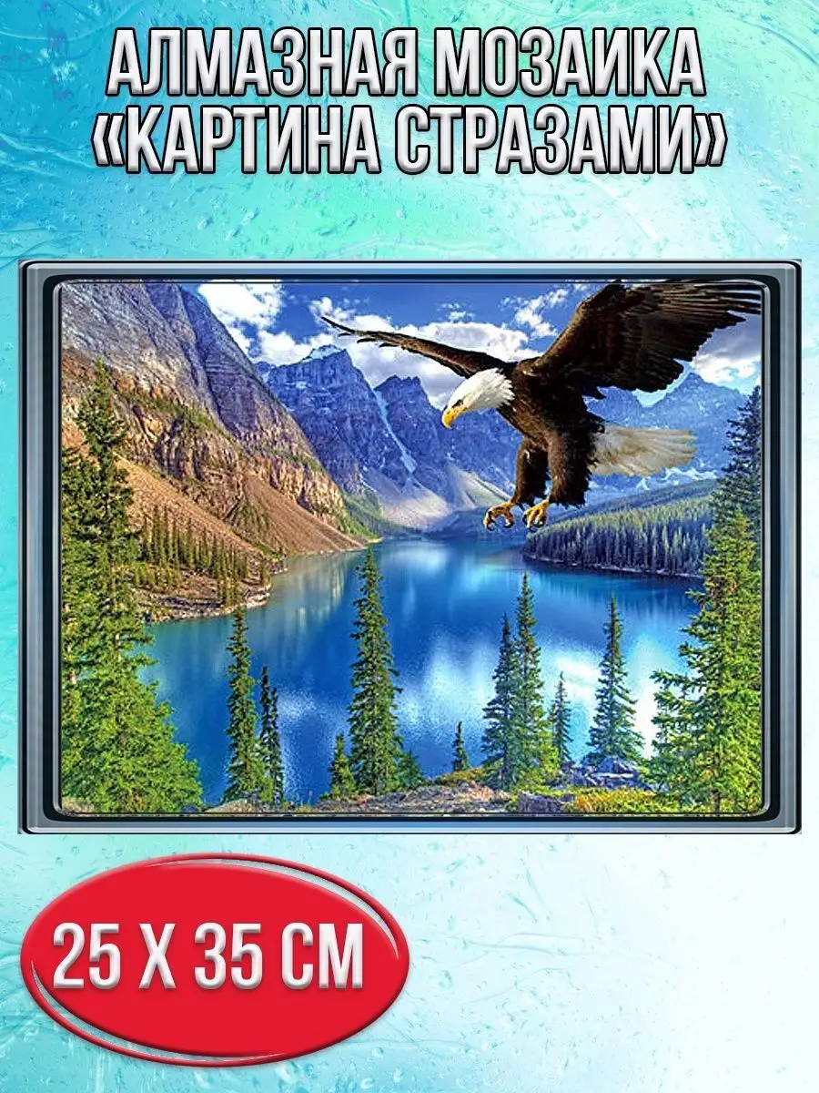 Алмазная мозаика картина стразами Парящий орёл, 30х40 см