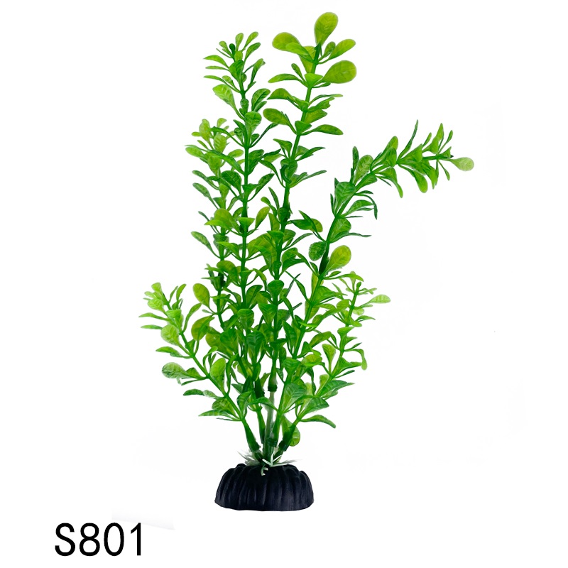 S801