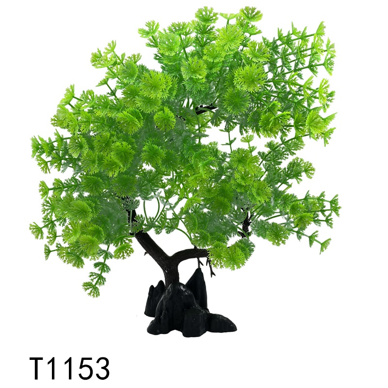 T1153