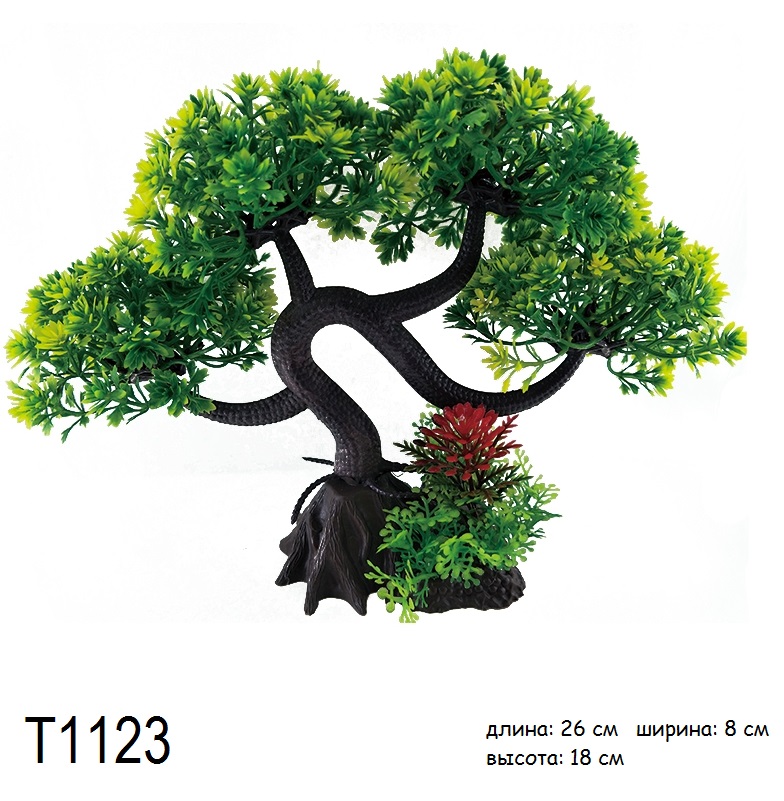 T1123