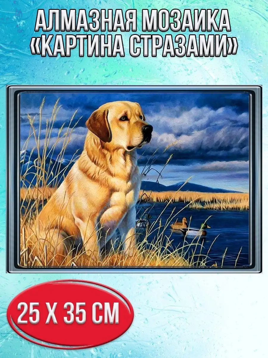 Алмазная мозаика картина стразами Лабрадор, 30х40 см