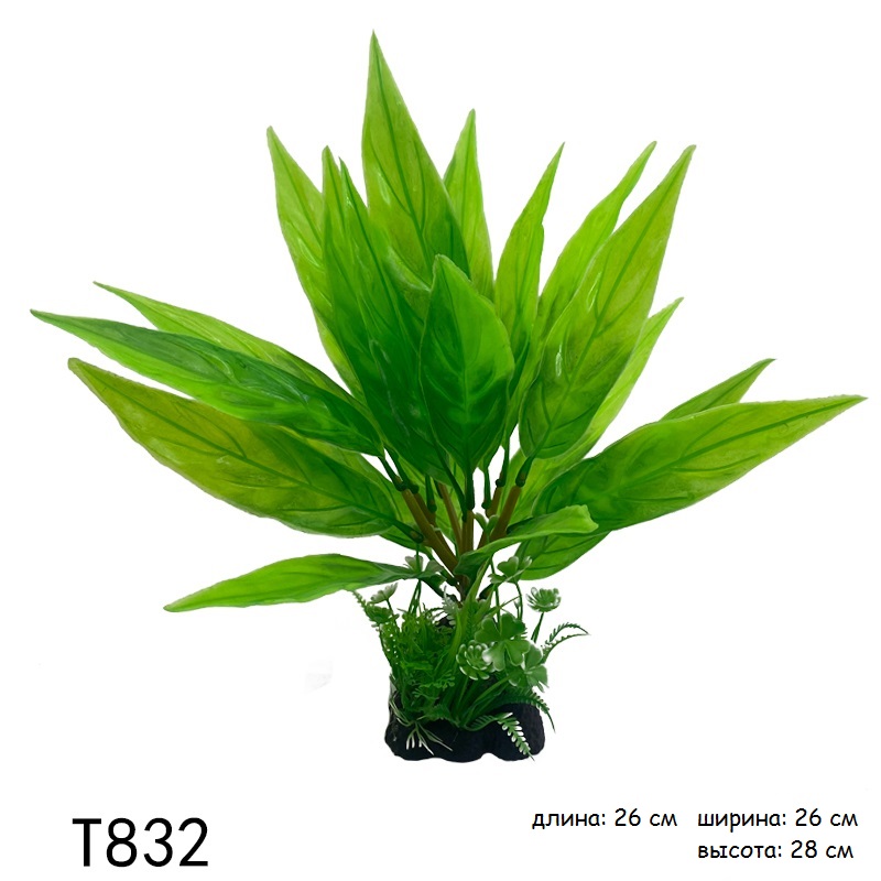 T832