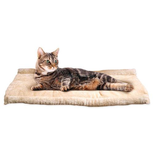 kitty_shack