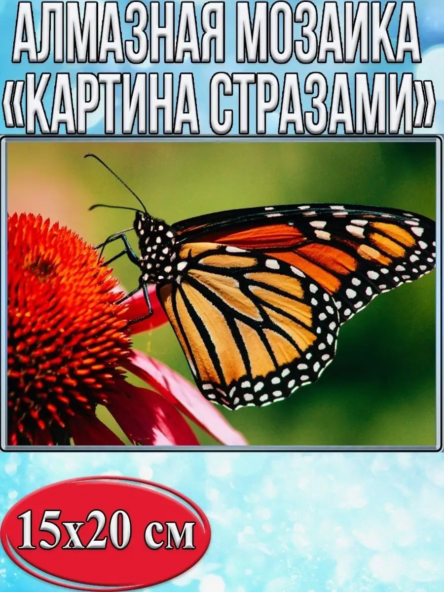 Алмазная мозаика картина стразами Бабочка, 15х20 см