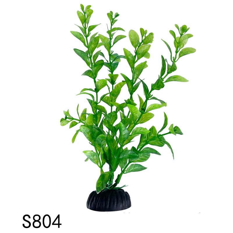 S804
