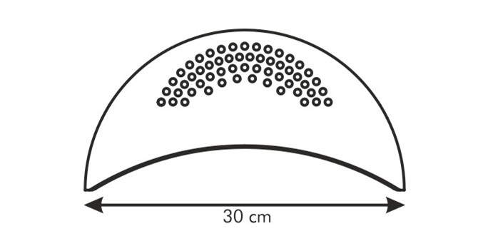 25981