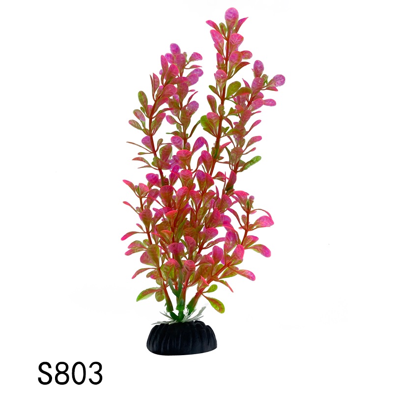 S803