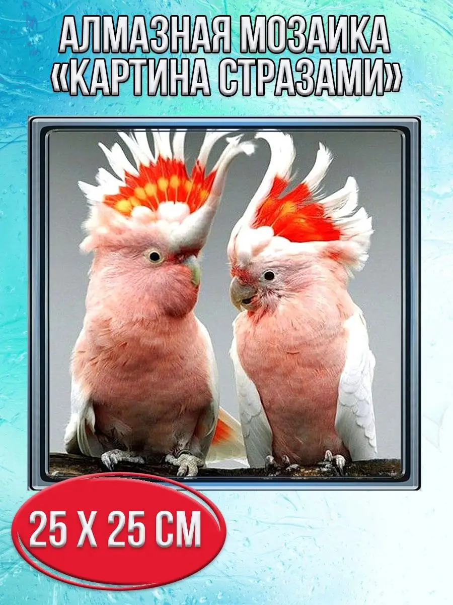 Алмазная мозаика картина стразами Попугаи какаду, 30х30 см