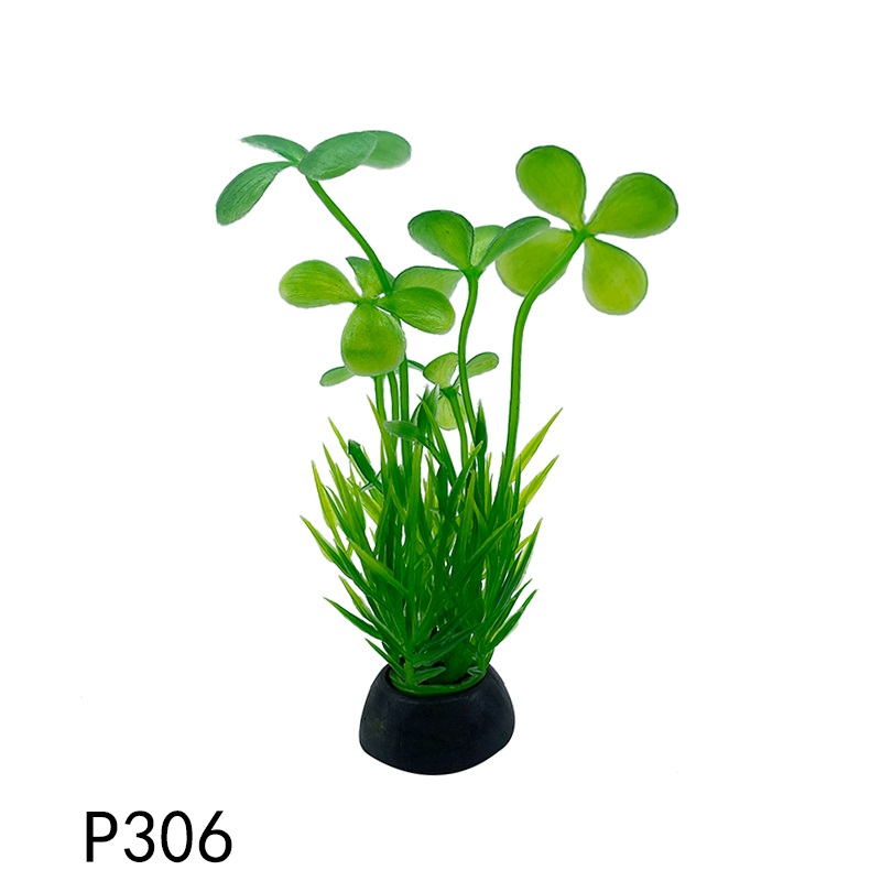 p306