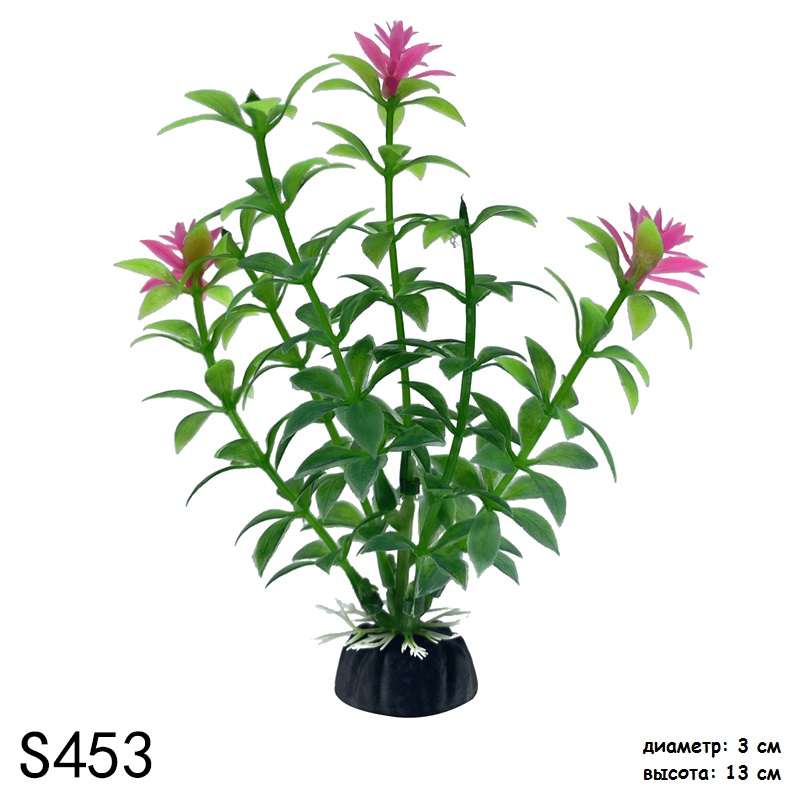 S453