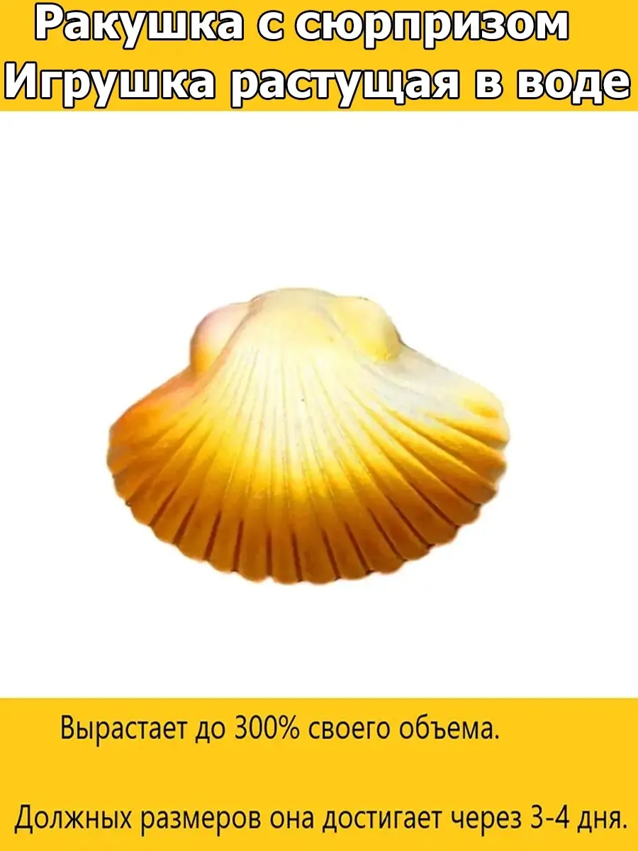 00038763 Волшебная ракушка, с животным внутри, 8х7 см