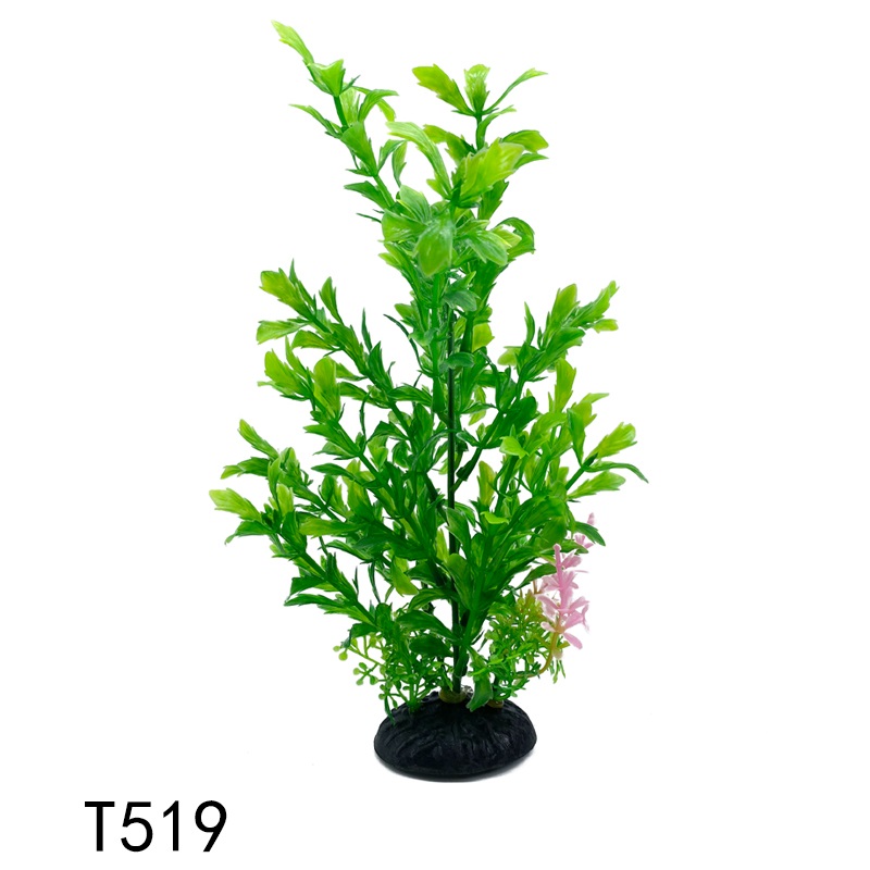 T519