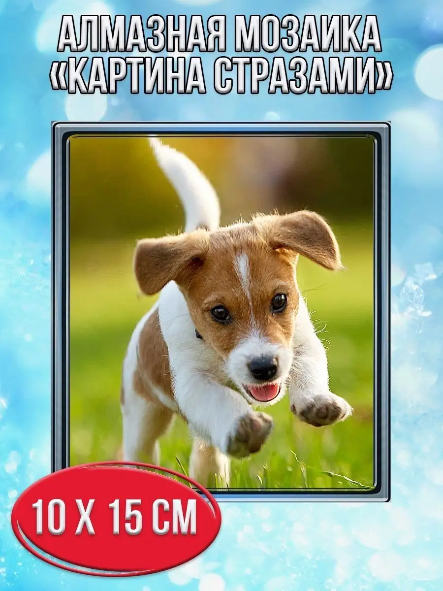 Алмазная мозаика картина стразами Бегущий щенок, 15х20 см