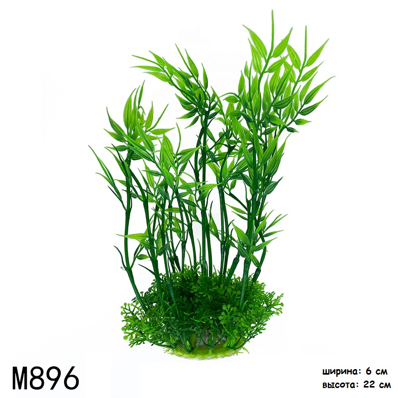 m896