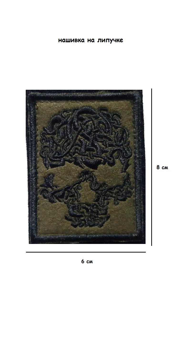 117592-