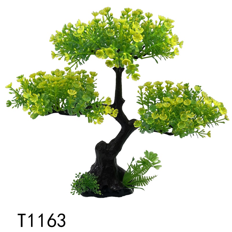 T1163