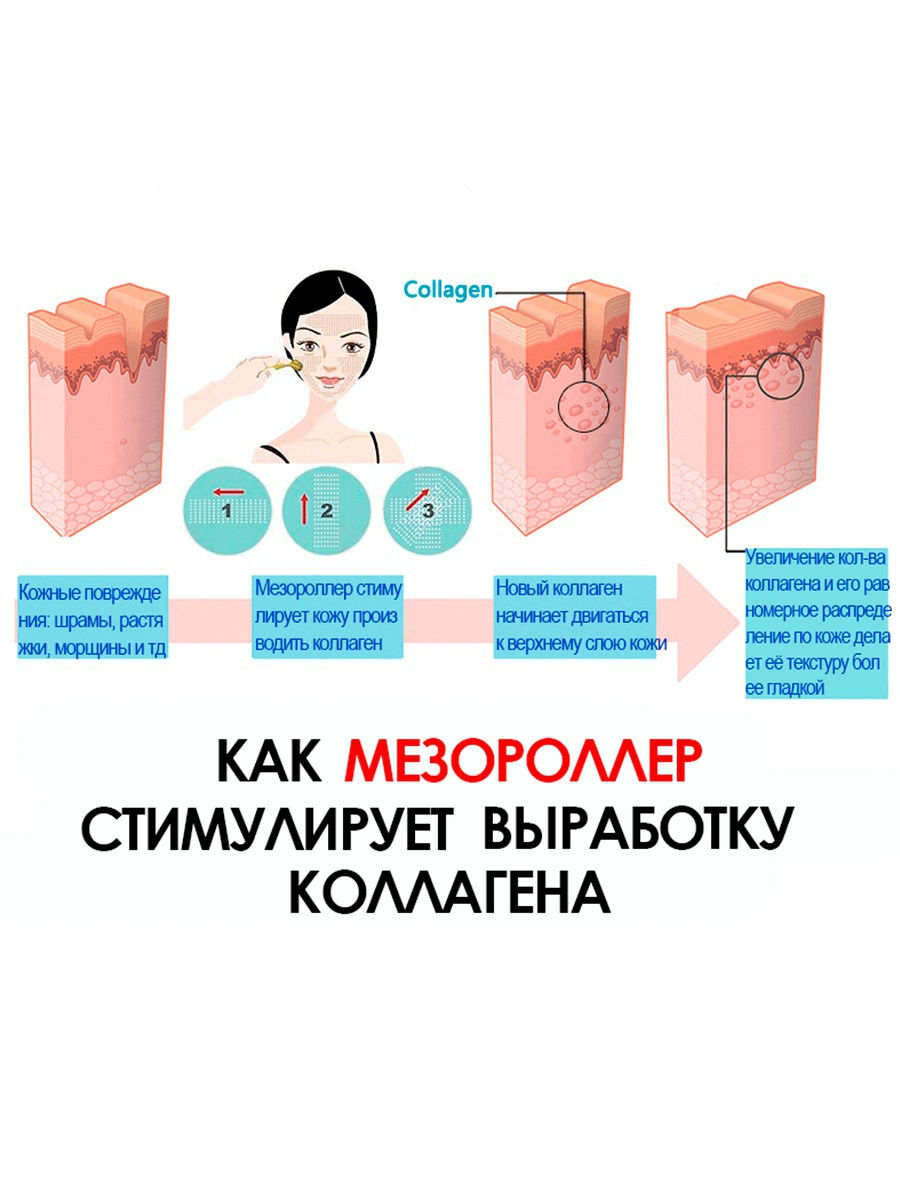 13360081-5