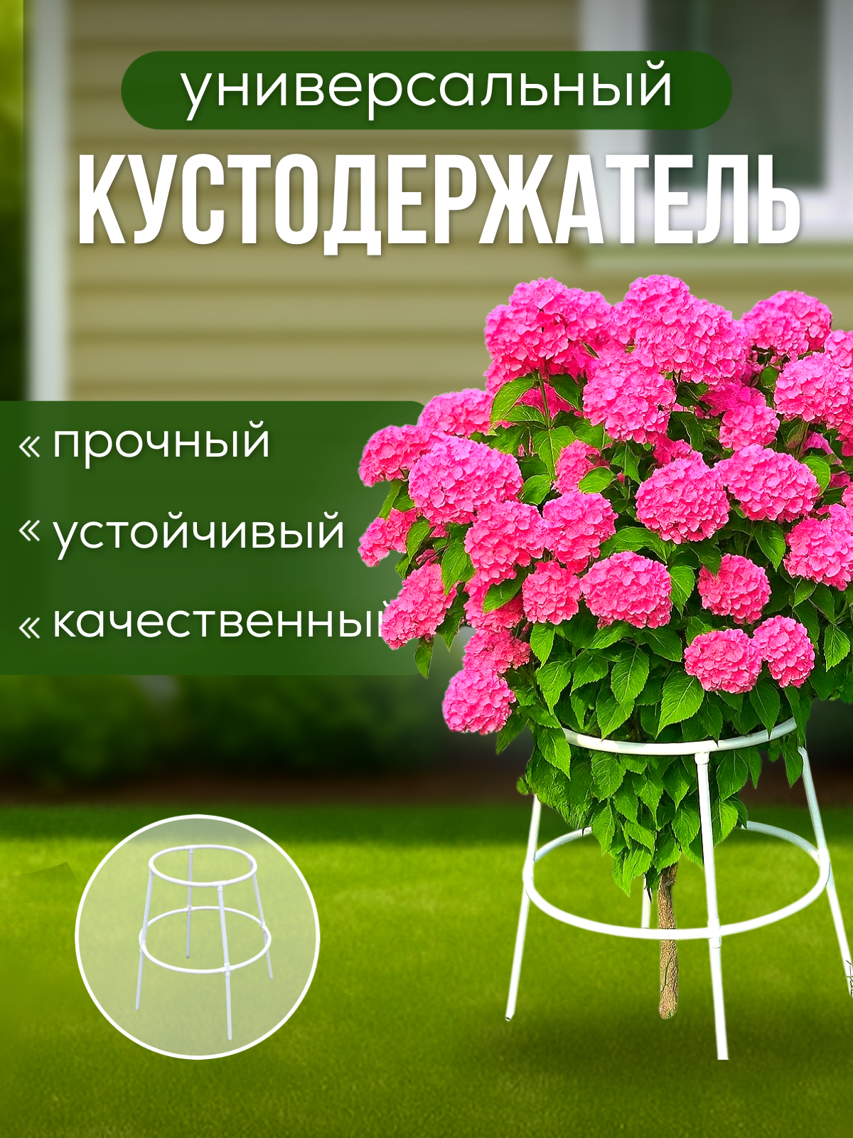Кустодержатель