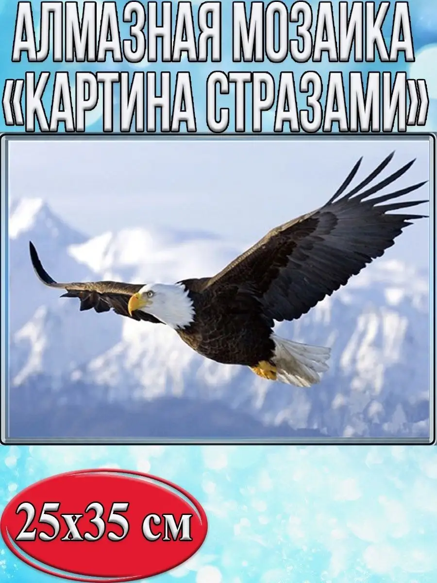 Алмазная мозаика картина стразами Летящий орёл, 30х40 см