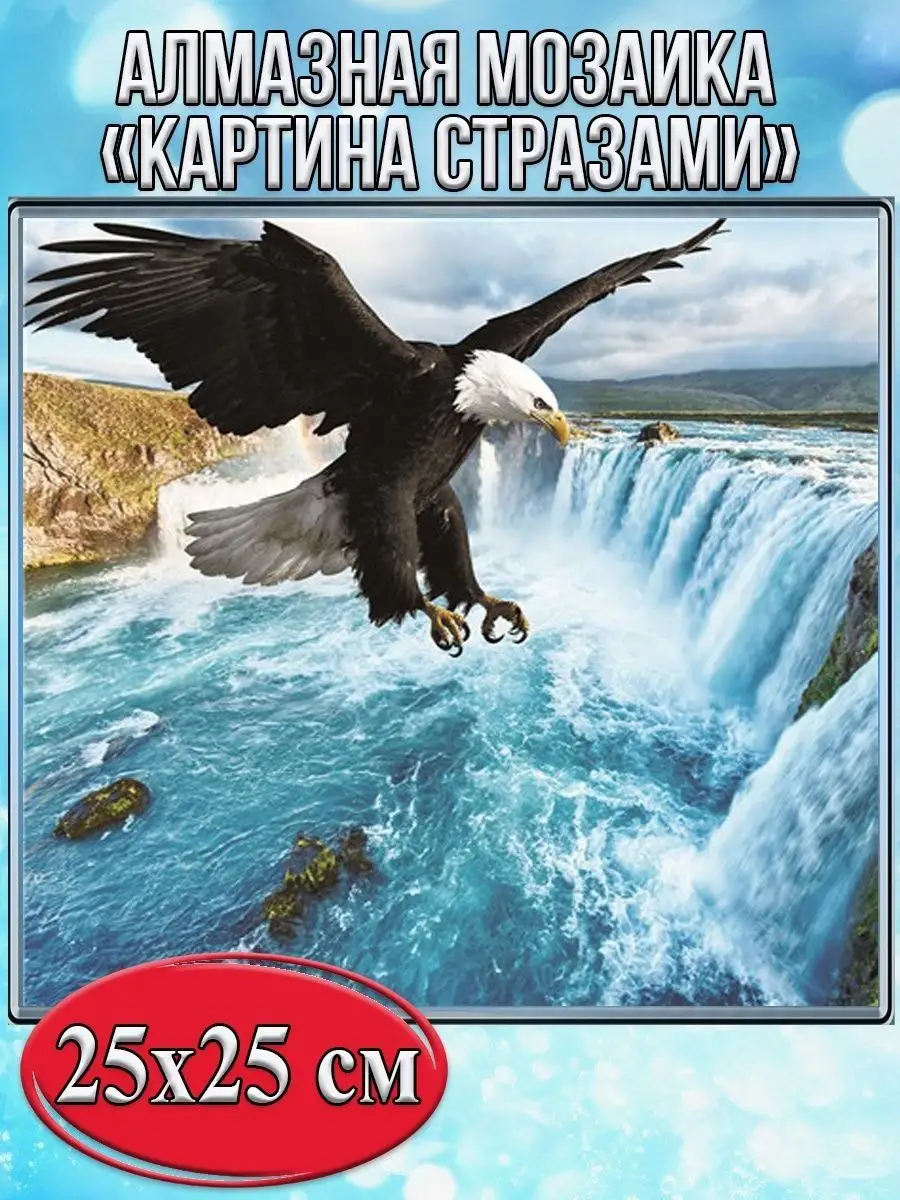 Алмазная мозаика картина стразами Летящий орёл, 30х30 см