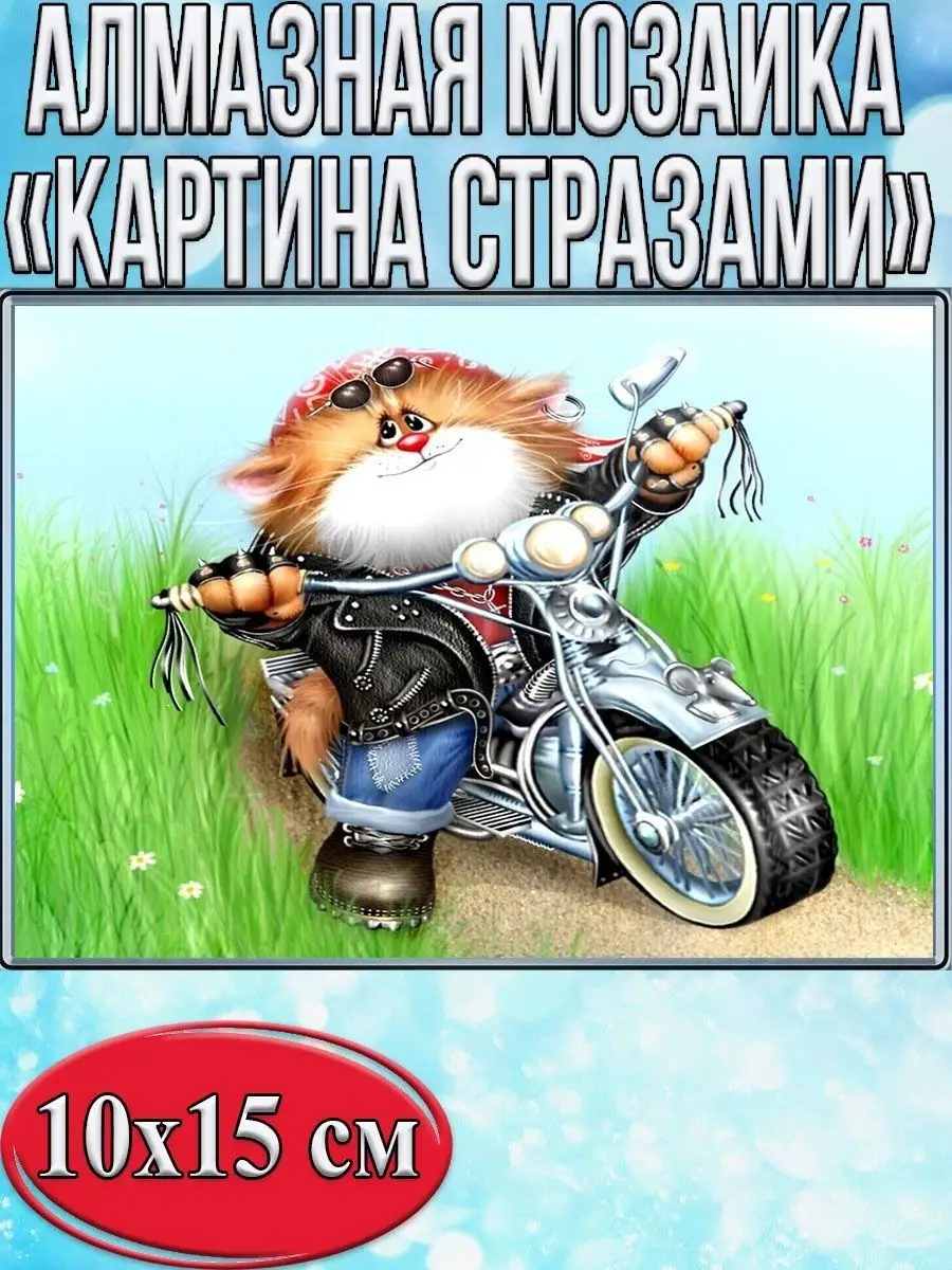 Алмазная мозаика картина стразами Кот на мотоцикле, 15х20 см