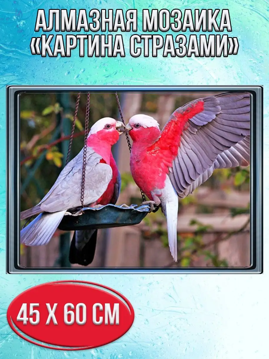 Алмазная мозаика картина стразами Неразлучники, 50х65 см