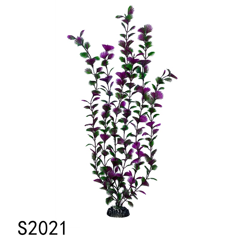 S2021