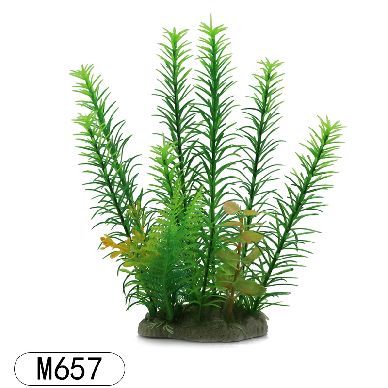 m657