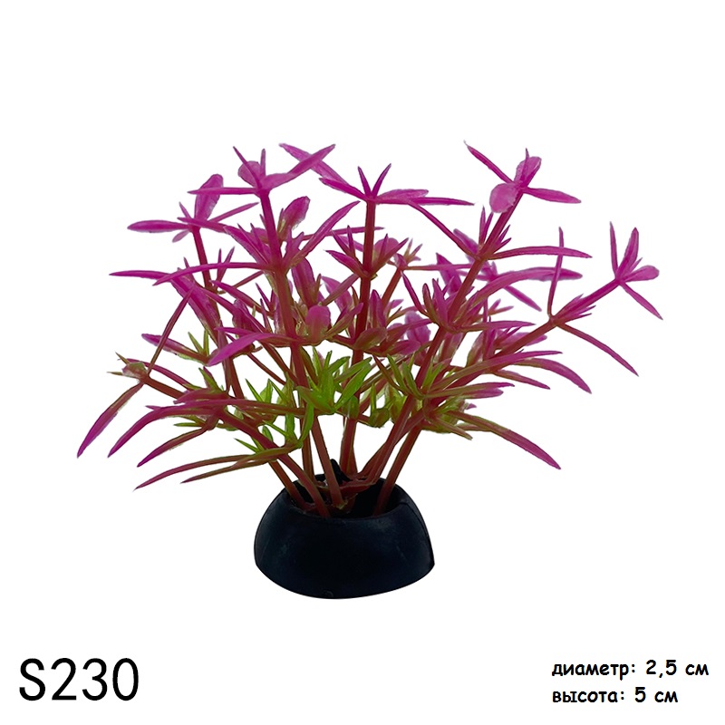 s230