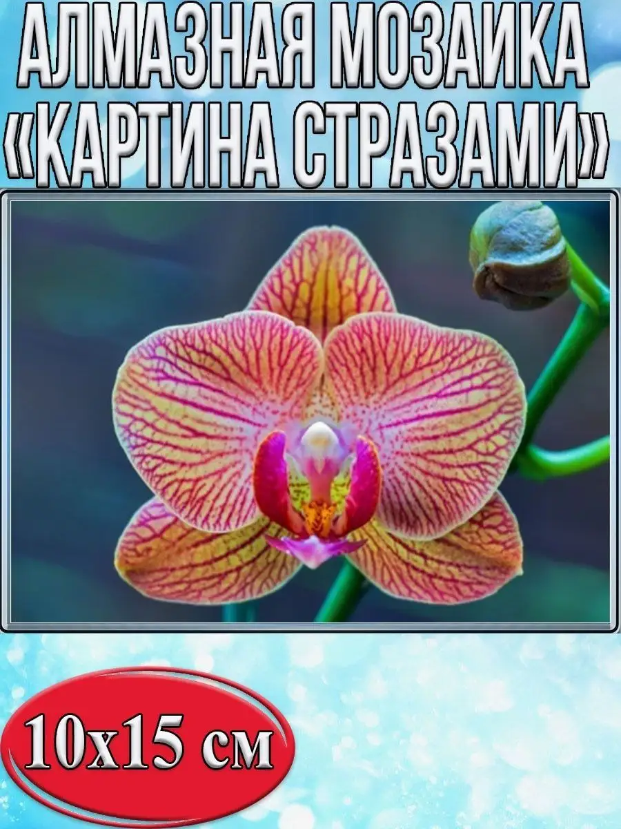 Алмазная мозаика картина стразами Орхидея, 15х20 см