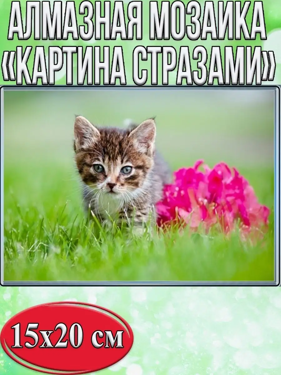 Алмазная мозаика картина стразами Котёнок, 15х20 см