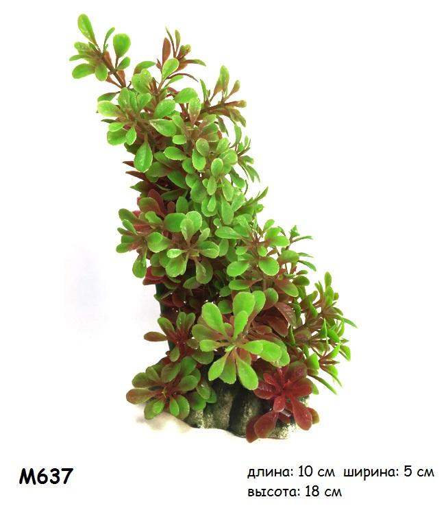 M-637