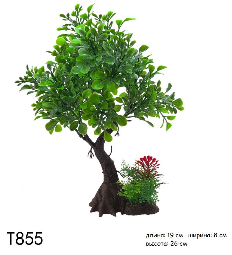 T855