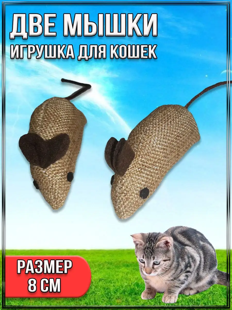 954